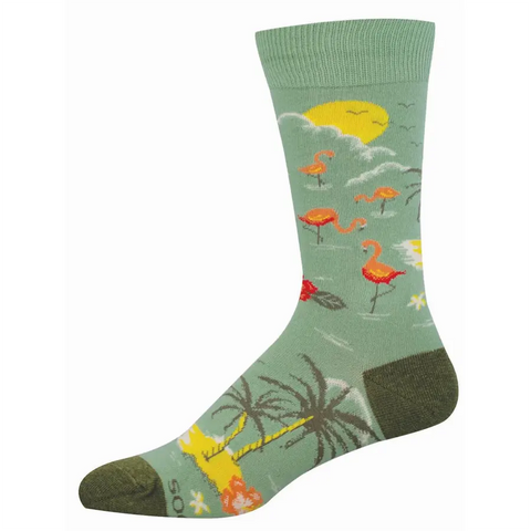 Men's Bird's Eye View Socks