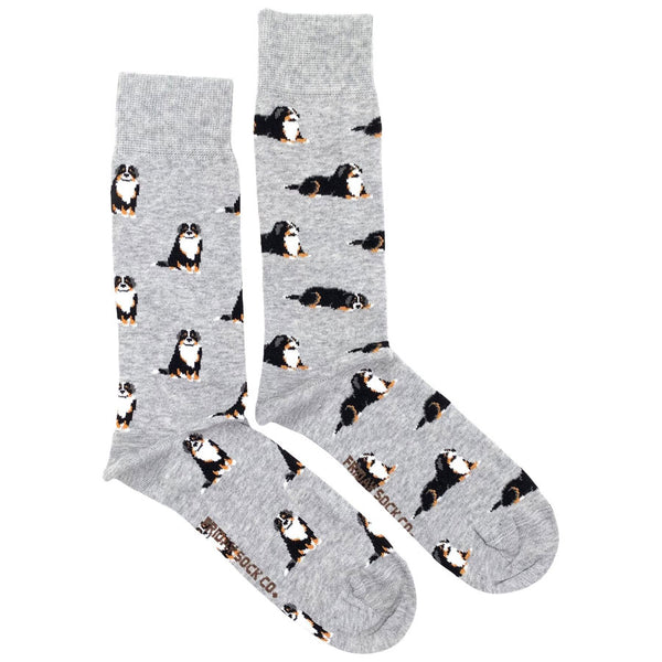Men's Bernese Mountain Dog Socks